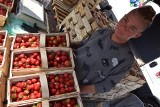Truskawki tanie jak… pomidory. Ceny na ryneczku w Gorzowie | 16 CZERWCA