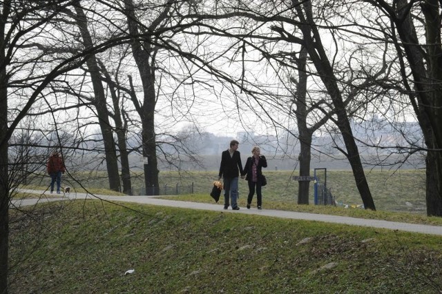 Alejki parkowe będą odnowione, pojawią się nowe ławki i oświetlenie