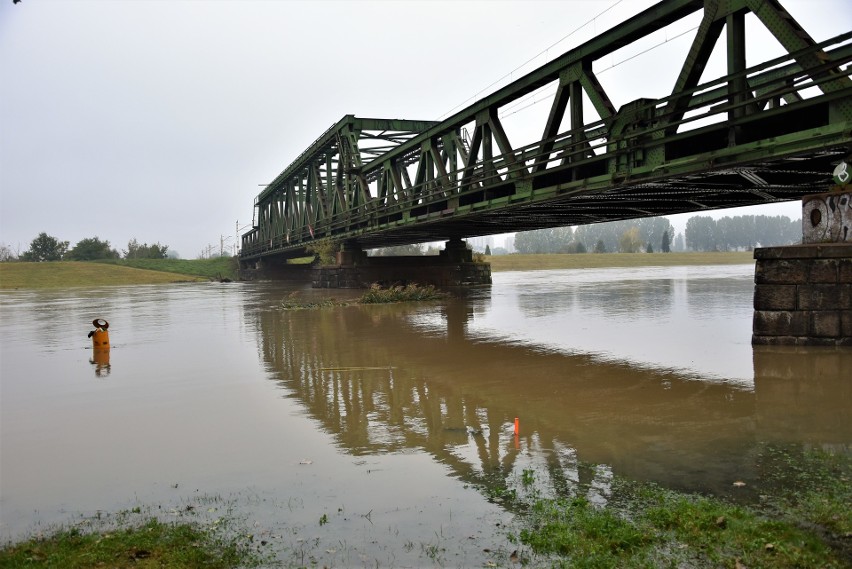 Odra w Opolu blisko stanu alarmowego. Wody rzeki zalały...