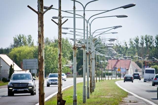 Po wymianie oświetlenia bydgoskie lampy będą zżerały nawet o 30 procent mniej energii niż dotychczas. Mają się też rzadziej psuć, a ich utrzymanie i konserwacja mają być o wiele prostsze