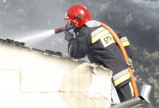 Z pożarem walczyło kilkanaście zastępów strażackich