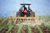 Emerytury rolnicze bez konieczności przekazywania gospodarstwa, budowa systemu ubezpieczeń wzajemnych. Za nami VIII Kongres Rolnictwa RP