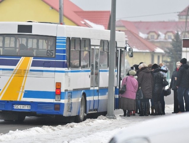 Do końca marca powinniśmy poznać firmę, która będzie przez najbliższy rok odpowiadać za komunikację miejską w Tarnobrzegu.