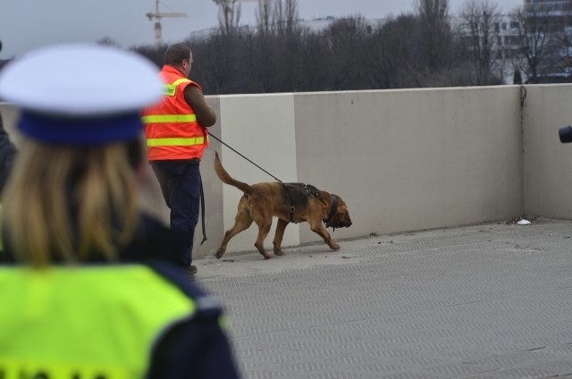 Centrum Poznania zamknięte. Ewy Tylman szukają psy z niemieckiej policji