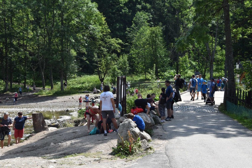 Zakopane. Półmetek wakacji. Tłumy pod Giewontem [ZDJĘCIA]