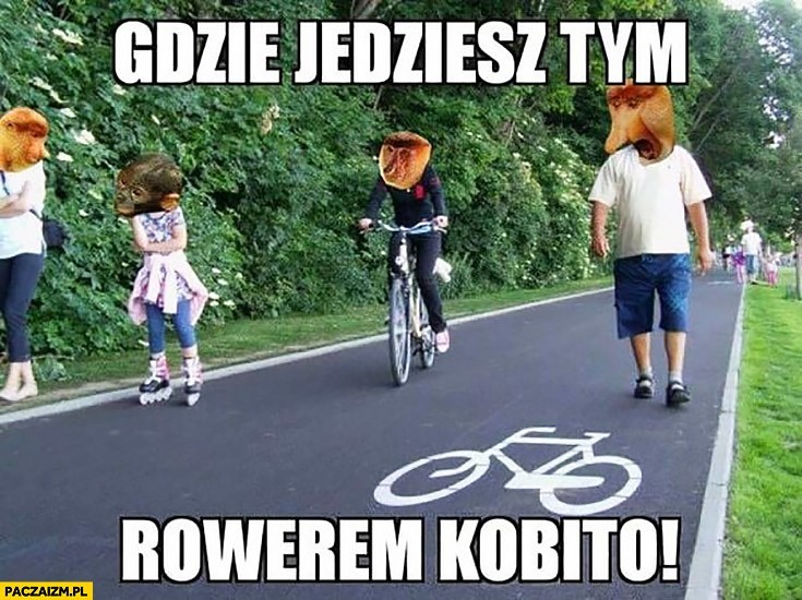 Czym smarują chleb rowerzyści? Najlepsze memy o fanach dwóch kółek. Zobaczcie koniecznie!