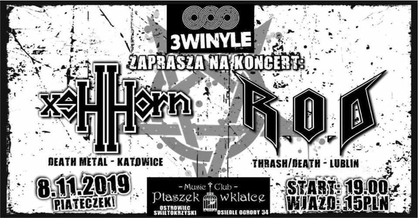 Metalowe granie ponownie w klubie Ptaszek w Klatce w Ostrowcu Świętokrzyskim (WIDEO)