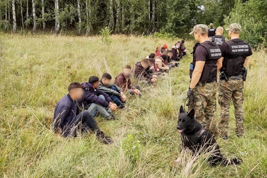 Plaga nielegalnych migrantów na polsko-białoruskiej granicy. Funkcjonariusze Podlaskiego Oddziału Straży Granicznej zatrzymali 349 osób