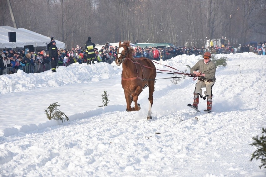 Parada Gazdowska 2019 - Biały Dunajec