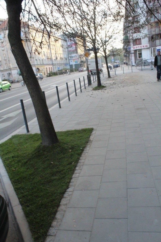 Mieszkanka: Władze Wrocławia nienawidzą zieleni. Tak umieraja drzewa po remoncie (ZDJĘCIA)