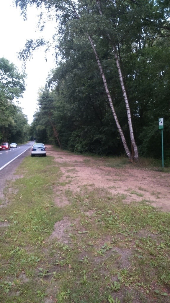 Jezioro Strzeszyńskie: Gdzie legalnie parkować