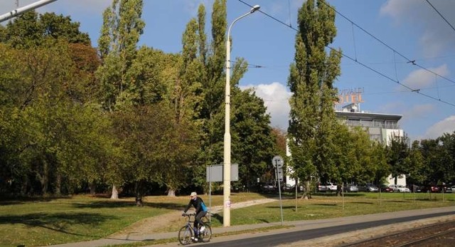 Poznań: odnaleziono szczątki ofiar niemieckich bombardowań miasta