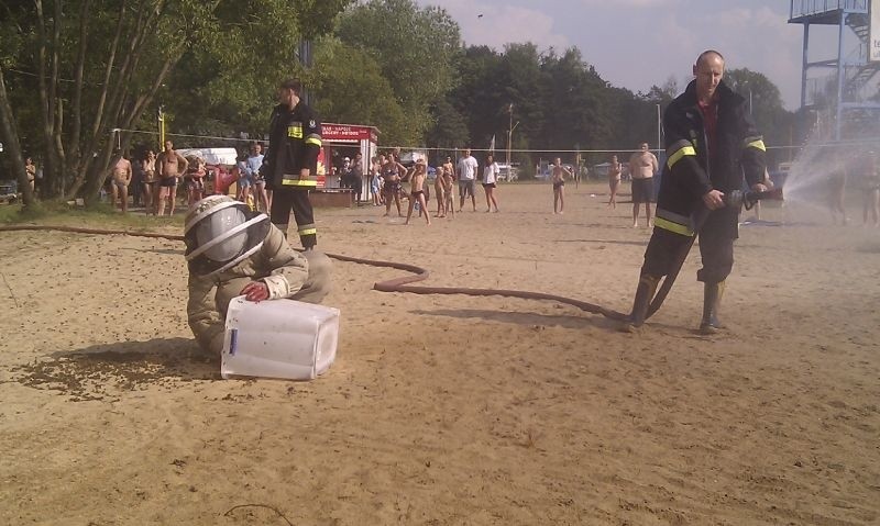 Miedwie: Ośmiu plażowiczów zostało użądlonych przez rój pszczół 