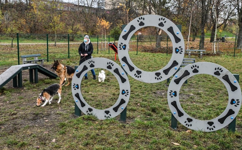 W Bydgoszczy jest 8 specjalnych wybiegów dla psów. Na...