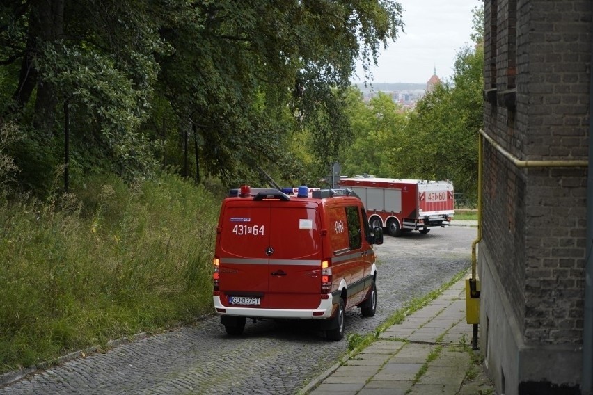 Na komendzie policji w Gdańsku doszło do eksplozji? Bada to prokuratura