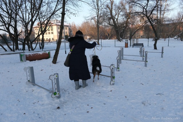 Park wyposażony jest w tunel, slalom, równoważnię/pochylnię, mostek i drążek z regulacją.