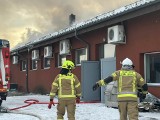 Pożar poddasza w budynku starej Biedronki w Starej Kiszewie. W akcji 12 zastępów straży pożarnej 