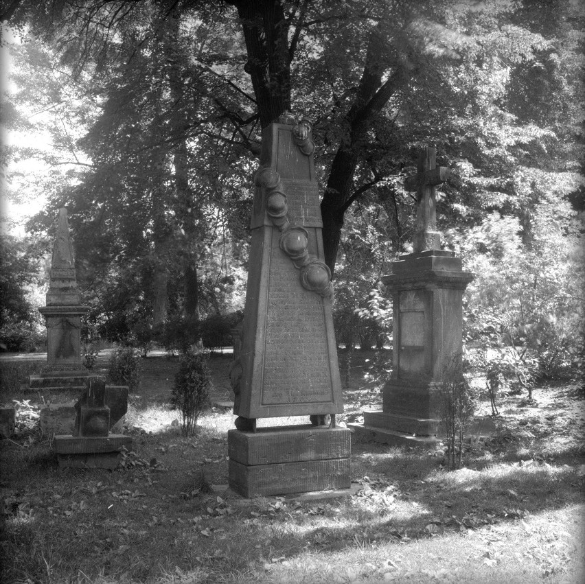 Cmentarz ewangelicki w Lublinie przy ulicy Ewangelickiej....