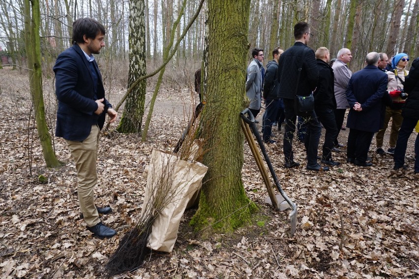 Ponad podziałami, sprzeciwiają się Lex Szyszko i sadzą...