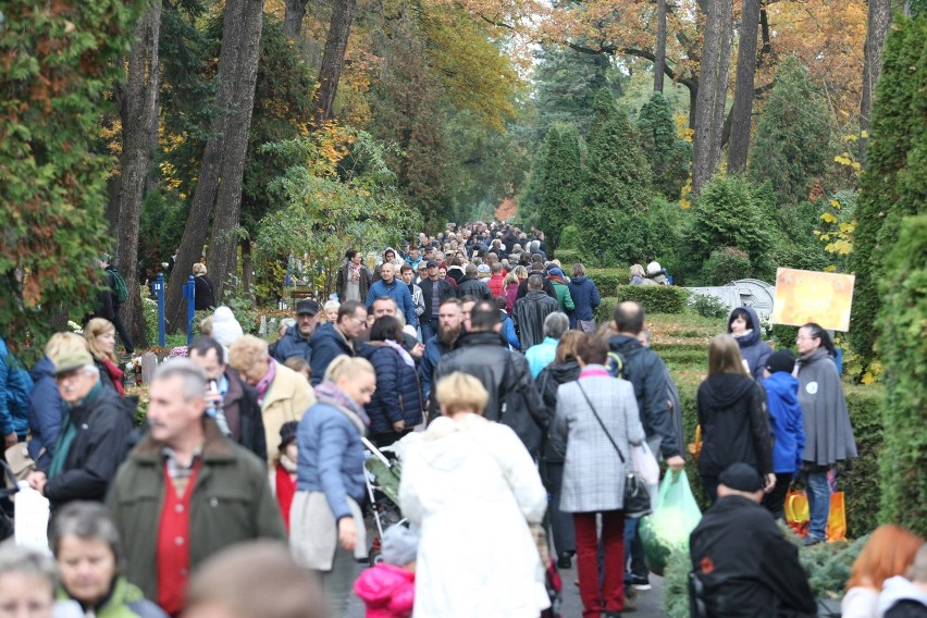 Święto Zmarłych Cmentarz Osobowicki