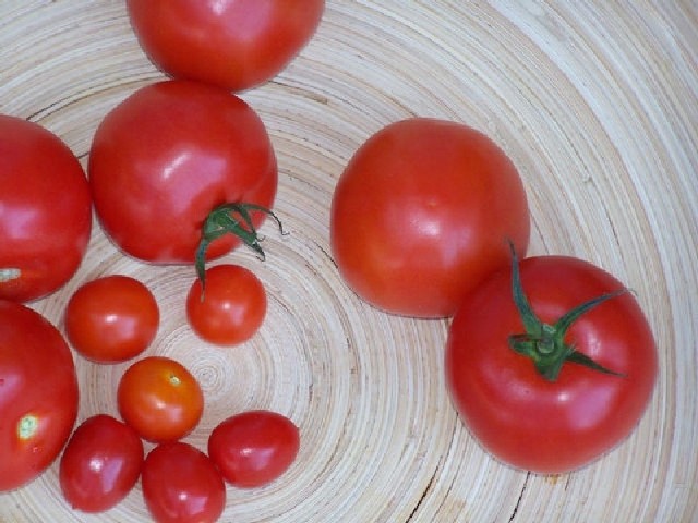 To będzie dziewiąty już Wielkim Festyn Pomidorowy