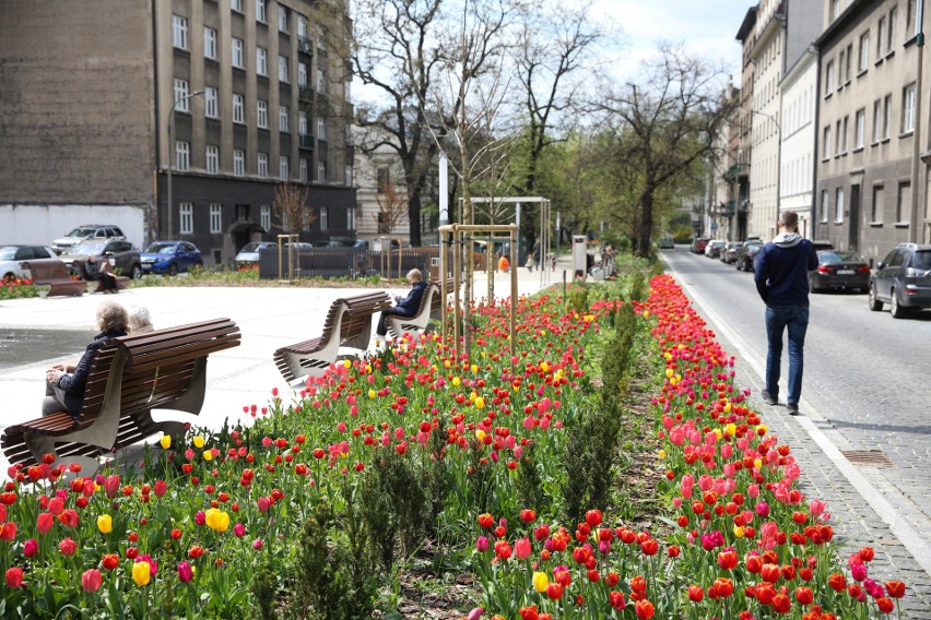 Kraków. Na placu Biskupim uruchomiono fontannę i zakwitły tulipany. Zobacz, czy to miejsce wypiękniało [ZDJĘCIA]