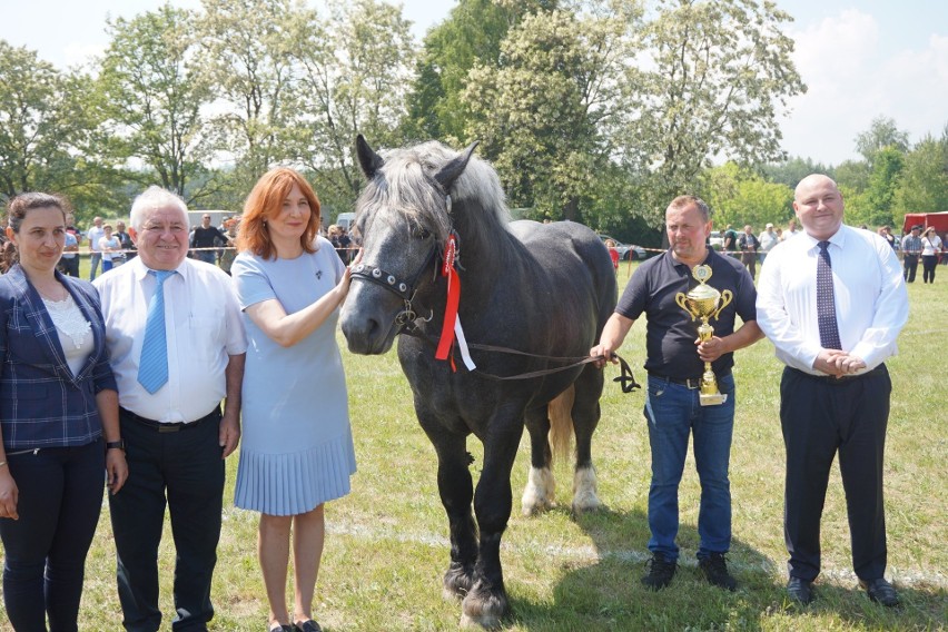 W kategorii koni dwuletnich czempionem został Prom, własność...