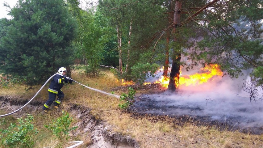 Jednostka OSP Roku 

- OSP KSRG Gidle - pow. radomszczański