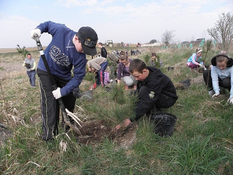 Wielka akcja sadzenia drzewek w Kołodziejewie. Uczniowie tworzą remizy [zdjęcia]