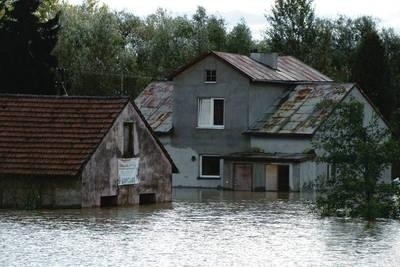Do wrześniowej powodzi w Piotrowicach nie doszłoby, gdyby wyrwa w wiślanym wale została wcześniej załatana Fot. Aleksander Gąciarz