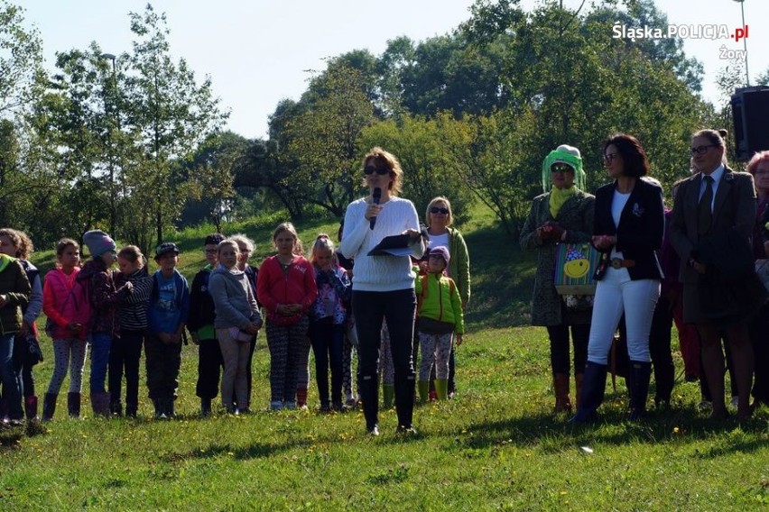 Ponad 100 osób sadziło drzewa w Parku Cegielnia w Żorach
