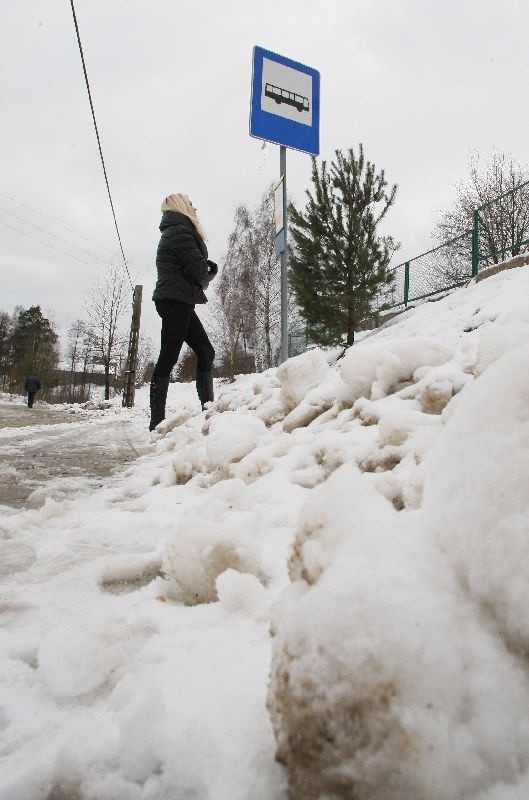 Szczególnie zimą, gdy sypie śnieg i nie ma gdzie się schować, ciężko jest czekać na autobus. 