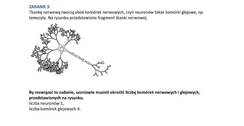 Matura 2014: Próbna z biologii napisana [ARKUSZE, ODPOWIEDZI]