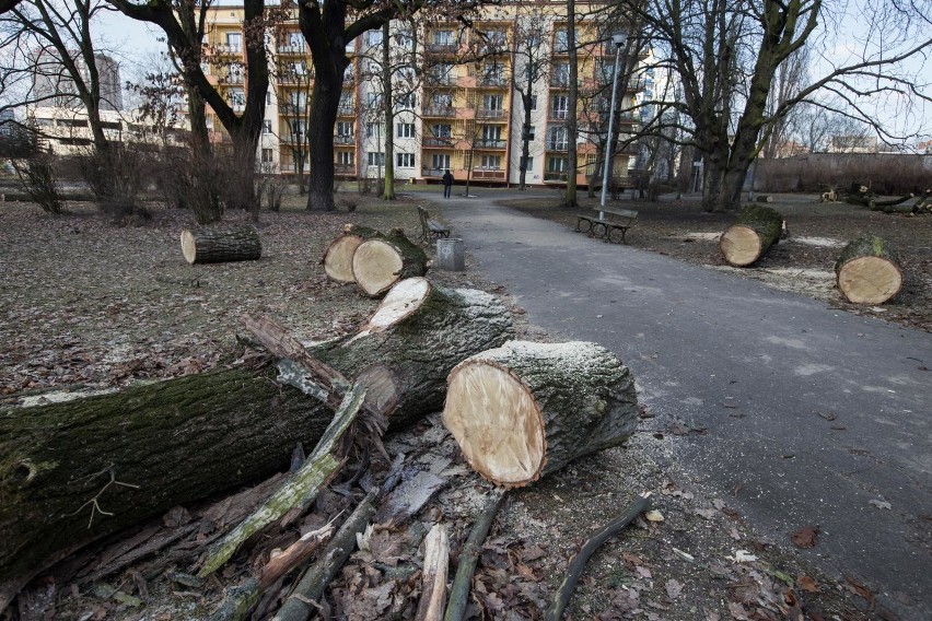 Po wyburzeniu muszli koncertowej w Parku Ludowym im. Witosa...