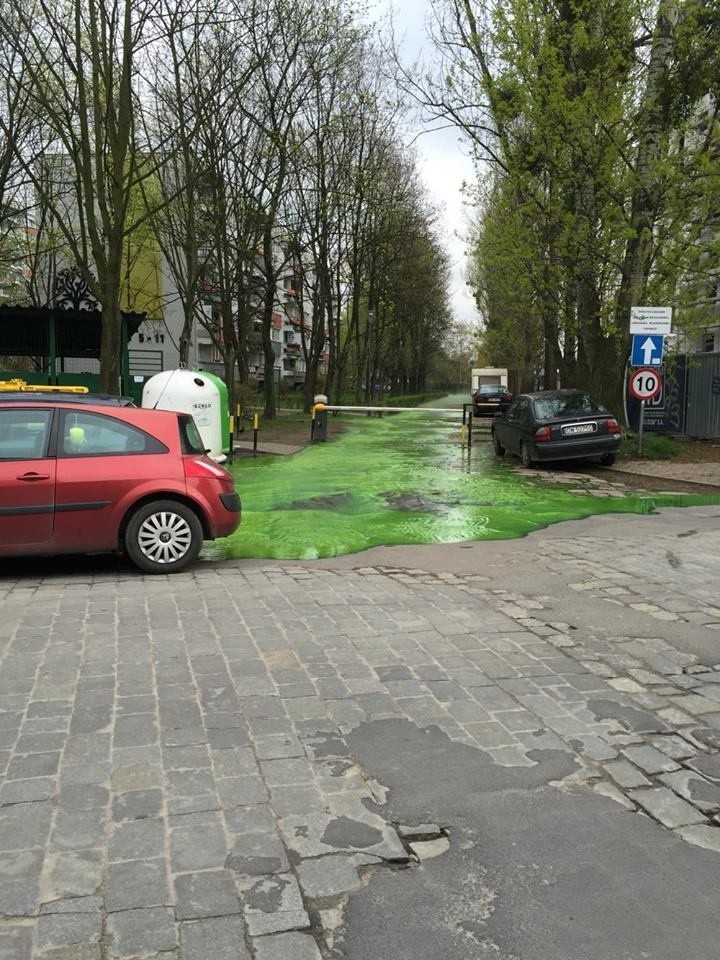 Wrocław: Zielona substancja zalała Białowieską. Co to?