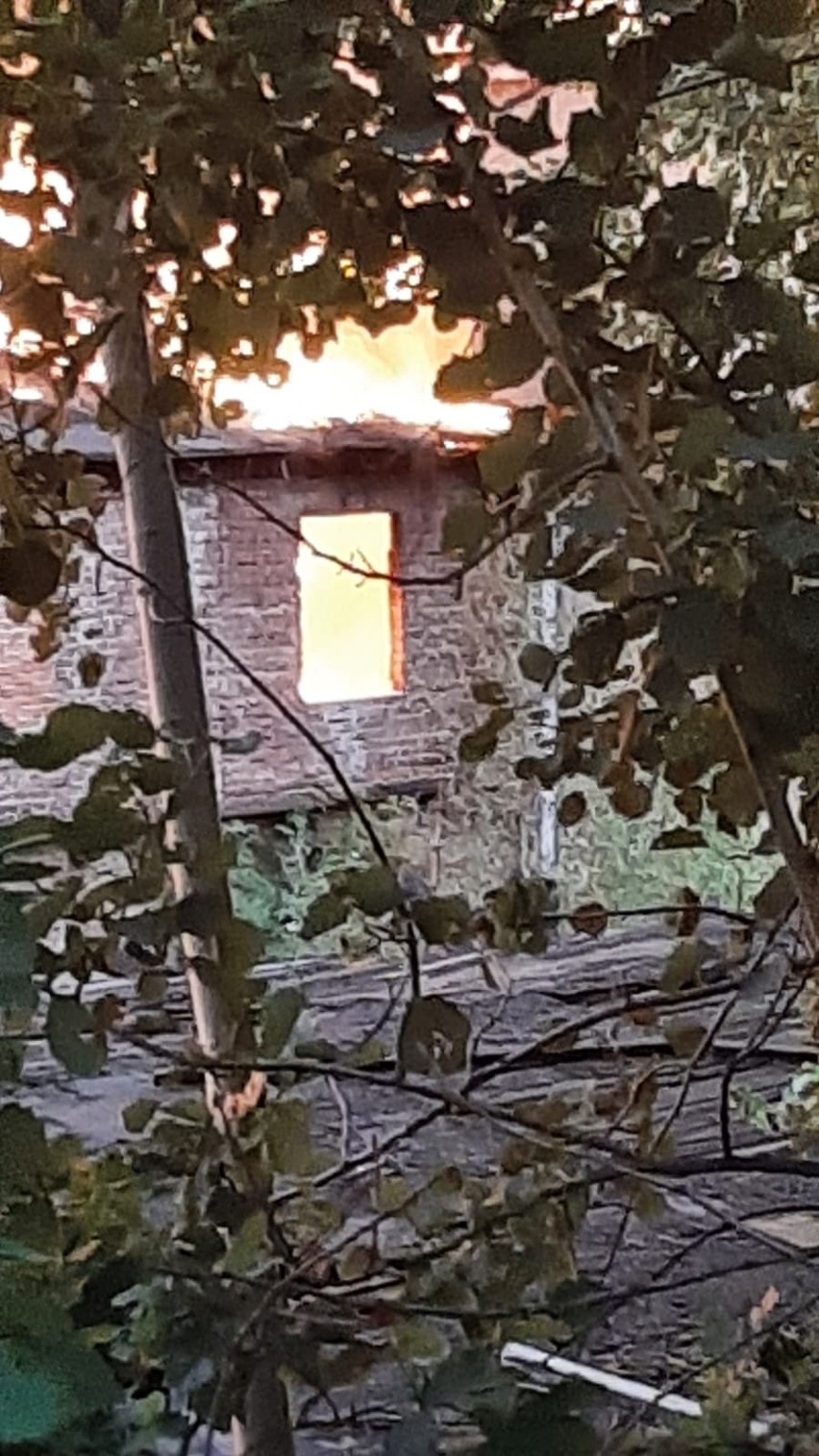 Pali się nieczynna cegielnia w Konradowie koło Głuchołaz. Obok jest hałda odpadów. Pożar gasi 9 jednostek straży