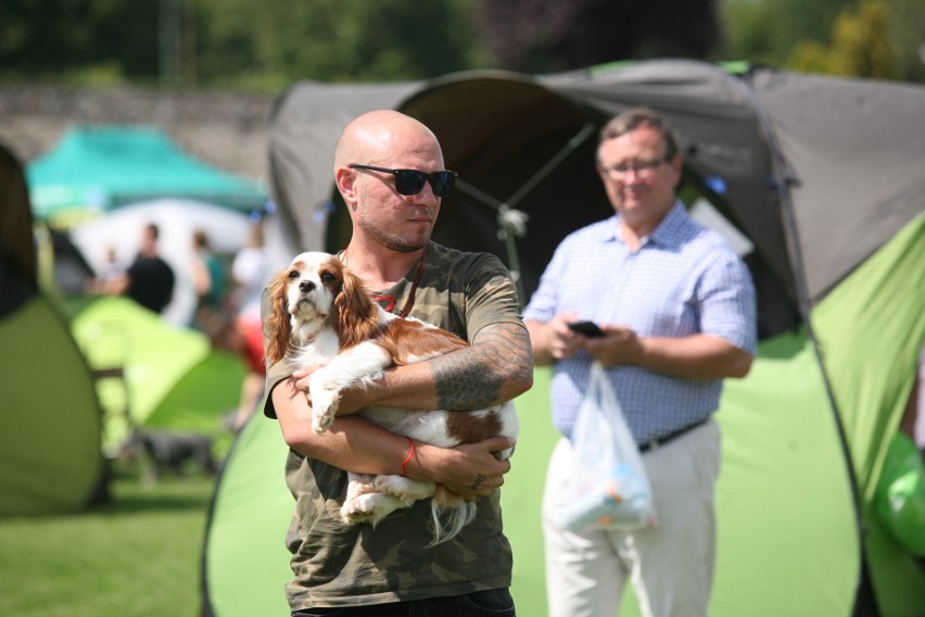 Wystawa psów rasowych w Będzinie ZDJĘCIA