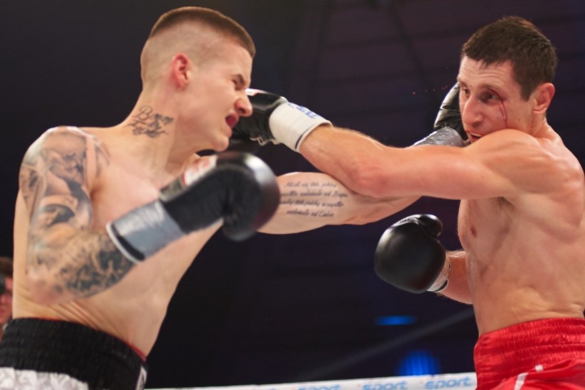 Sosnowiec Boxing Night: Zdjęcia walk