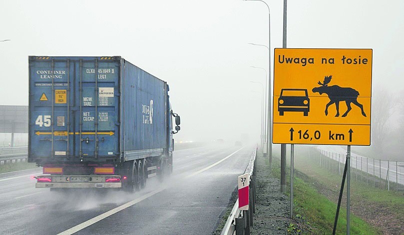 Tablica ostrzegająca kierowców przed łosiami na trasie S7 w...