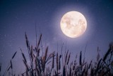 Dzisiejszej nocy pełnia "Koźlego Księżyca"! Jak obserwować to wyjątkowe zjawisko?
