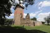 Zamek Chudów – siedziba szlachecka pod Gliwicami. Nieopodal rośnie najstarsza topola w Polsce. To świetne miejsce na niedzielny spacer