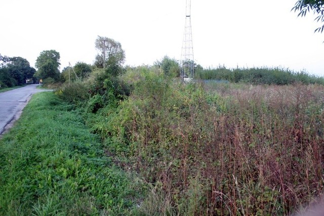 Tak wygląda niezagospodarowane pole w Krzyszkowicach, gmina Przytyk, idealne miejsce jak twierdzą mieszkańcy na utworzenie boiska. 