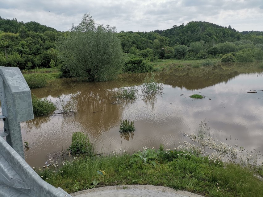 Stan alarmowy na Wiśle w Annopolu przekroczony. W Puławach jest stan ostrzegawczy