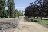 Czy przebudowa parku im. Fusińskiego w Sosnowcu skończy się w prokuraturze?