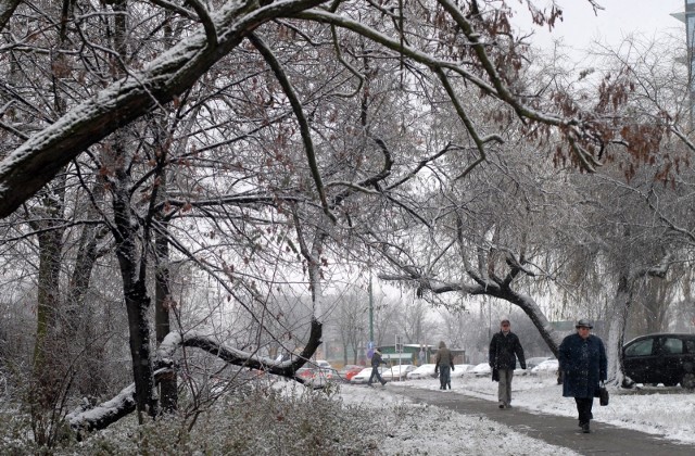 Czwartek będzie pochmurnym dzień. Polska znajduje się w zasięgu frontu atmosferycznego. Przejaśnienia będą pojawiać się na północy Polski. W południowych regionach pojawią się opady deszczu, a poza tym popada przelotny, zanikający śnieg. Temperatura maksymalna wyniesie od -4 °Cna Podlasiu do 5 stopni Celsjusza na Podkarpaciu. W centrum Polski około 3 °C.PROGNOZA POGODY ZOBACZ WIDEO >>>>...