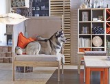 Wakacje z IKEA - nowe meble i akcesoria już w asortymencie sklepu (ZDJĘCIA)