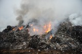 Pożar wysypiska śmieci pod Legnicą. 16 zastępów strażaków dogasza ogień