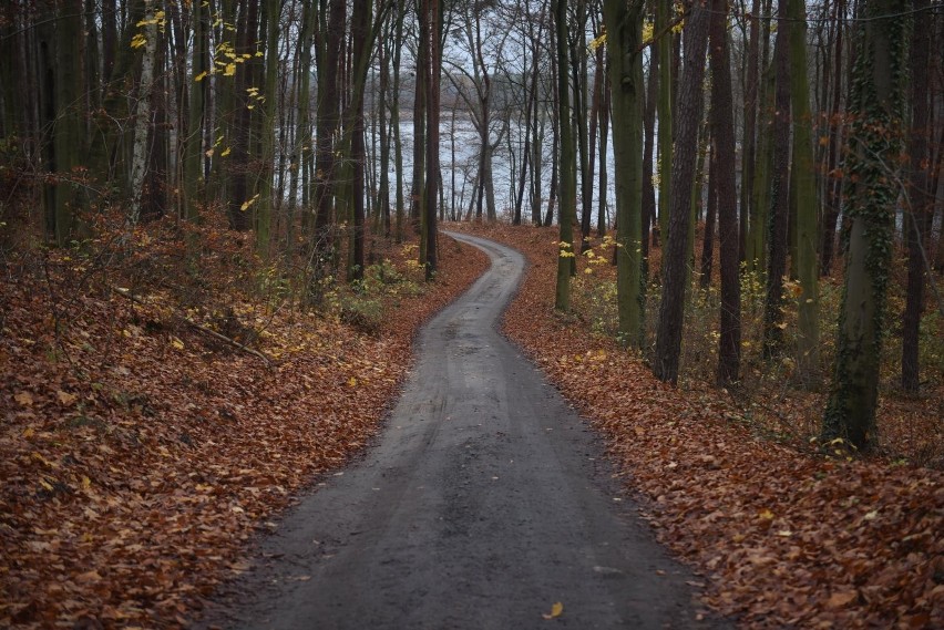 Spokojna, leśna droga to nieczęsty widok na najdłuższej...