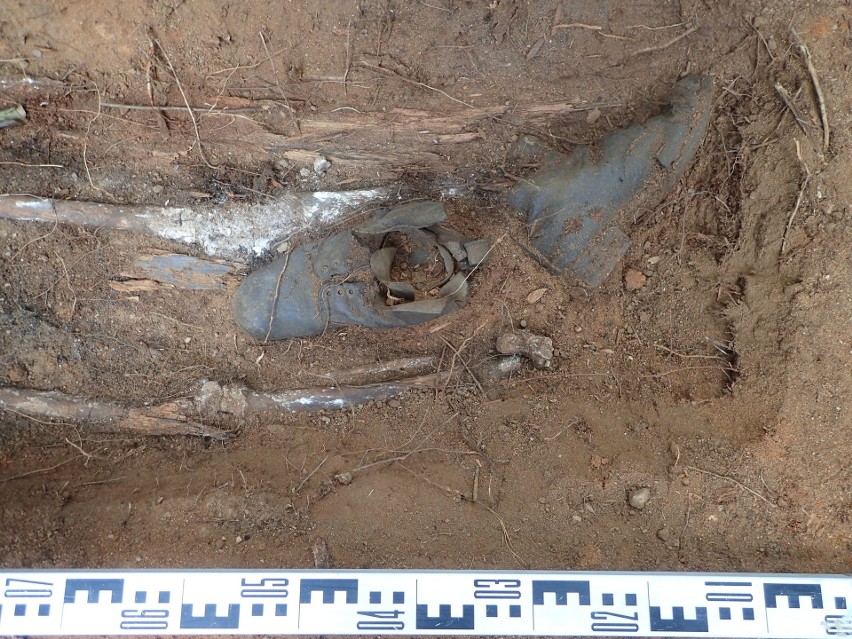 W Szprotawie odkopano mogiłę, w której spoczywały szczątki...