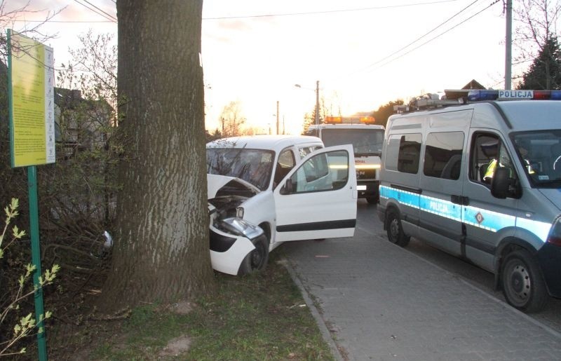 Uderzenie autem w pomnik przyrody w Kielcach